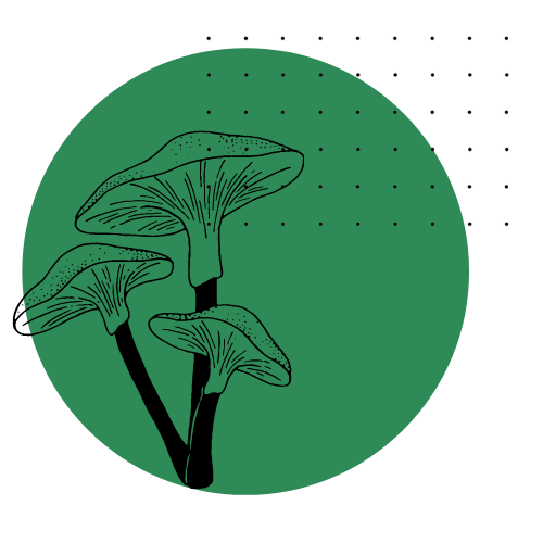 design2